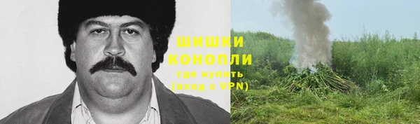 дживик Абаза