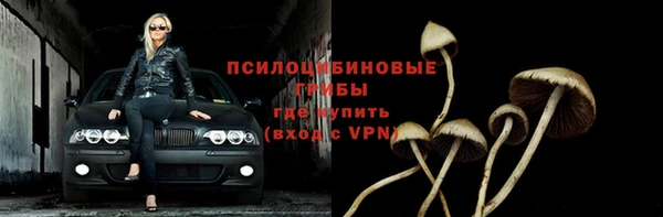 дживик Абаза