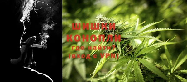 дживик Абаза