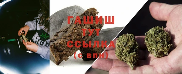 дживик Абаза