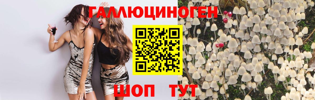 Псилоцибиновые грибы MAGIC MUSHROOMS Отрадный